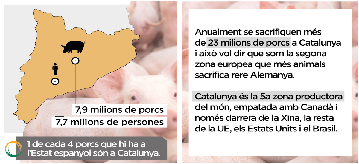 infografia