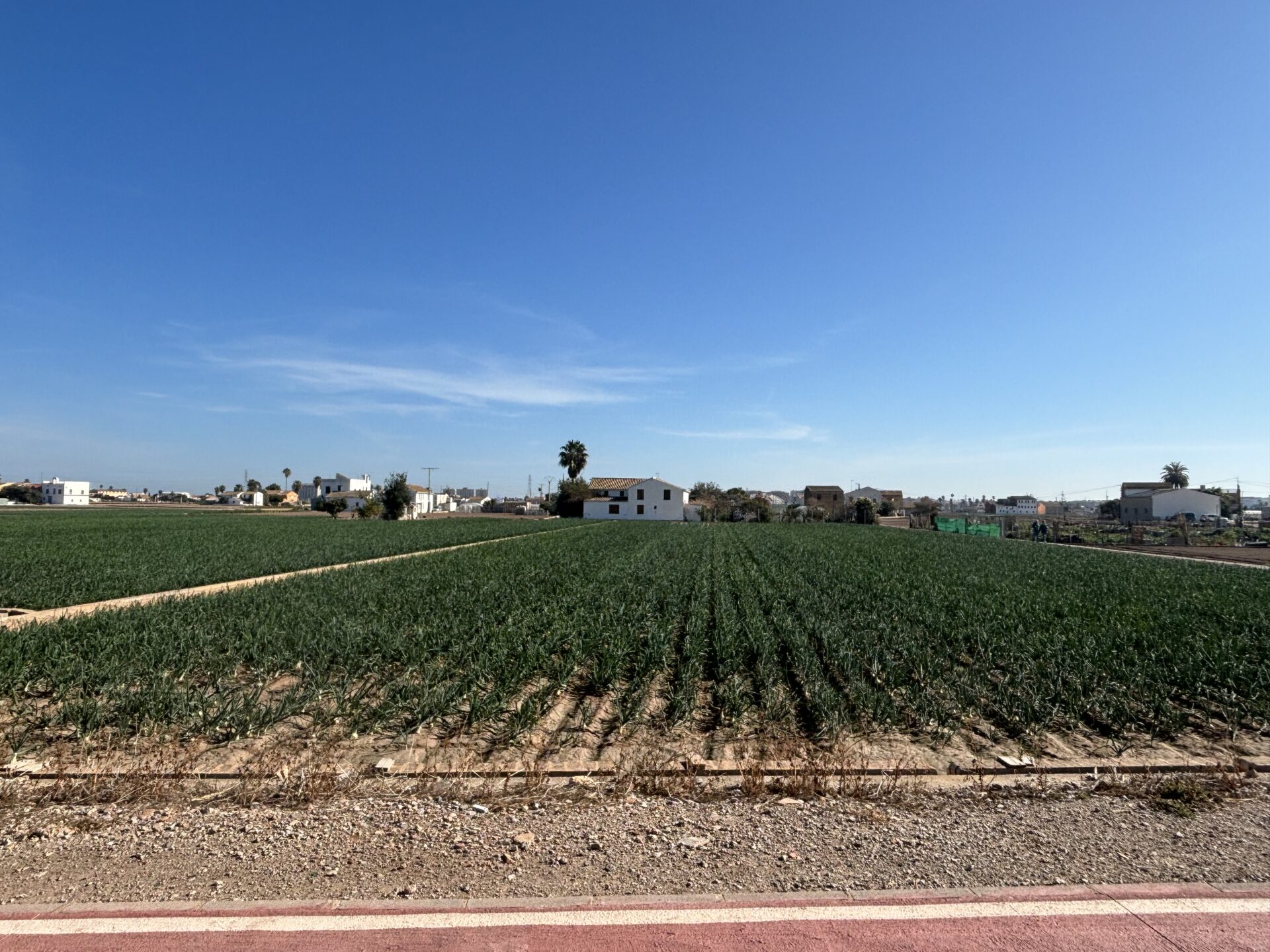 IMG_1018_Original