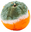 naranja