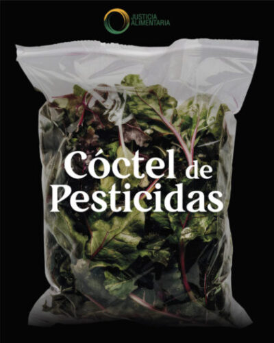 INFOGRAFIA_FLORETTE_1